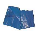 TELONE PE STANDARD C/OCCH. BLU MT.8X10