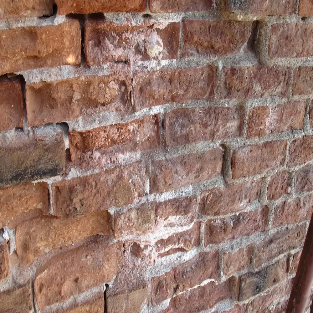 Z20 DETERGENTE ANTISALNITRO LT.1