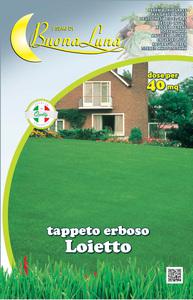 SEMI PRATO KG 1 "LOIETTO"