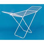 STENDIBIANCHERIA 'JOLLY' JOLLY