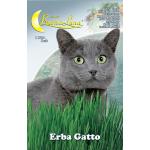 SEMI ORTO ERBA GATTO