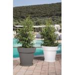 SOTTOVASO X GEMMA DIAM. 50 GRIGIO