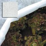 TELO PROTEZIONE ORTAGGI TNT H1,5X10MT PAPILLON - CF. BUSTA