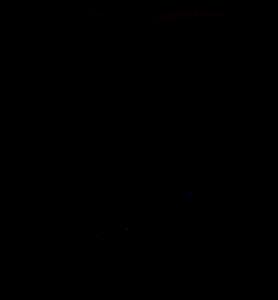 SPUGNA SINTETICA TONDA CM.10 PER PITTURE