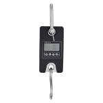 BILANCIA DIGITALE PORTATILE 300 kg