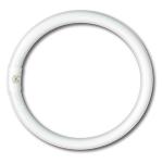 NEON CIRCOLARE 'TRIFOSFORI' L.FREDDA W32 - Ø mm 300 - 6400K