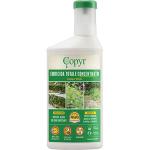 ACIDO ACETO DISERBANTE ML. 1000