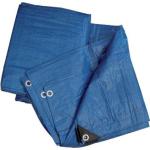 TELONE OCCHIELLATO PE BLU HAND GR/MQ 90 MT 3 X 3