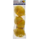 TRAPPOLA ECOLOGICA CATTURA INSETTI 'KILLA INSECT' busta da 6 pezzi