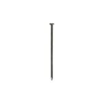 C CHIODI TESTA PIANA BL.100G 13X30