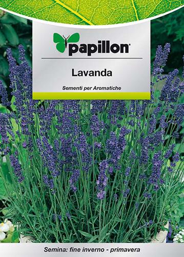 SEMI ERBA AROMATICA PAPILLON "LAVANDA" - CF. BUSTA 0,5 GR.