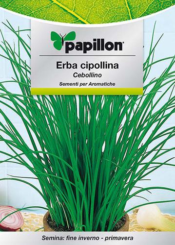 SEMI ERBA AROMATICA PAPILLON "ERBA CIPOLLINA" - CF. BUSTA 1 GR.