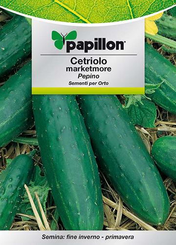 SEMI ORTO PAPILLON "CETRIOLO MARKETMORE" - CF. BUSTA 5 GR.
