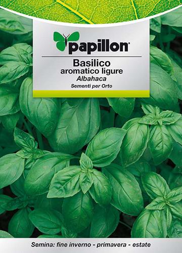 SEMI ORTO PAPILLON "BASILICO AROMATICO LIGURE" - CF. BUSTA 5 GR.