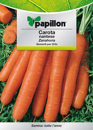 SEMI ORTO PAPILLON "CAROTA MANTESE" - CF. BUSTA 7 GR.