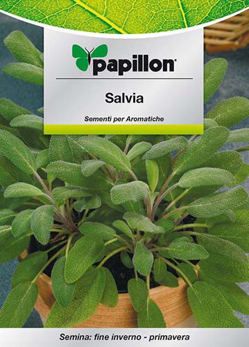 SEMI ERBA AROMATICA PAPILLON "SALVIA" - CF. BUSTA 1 GR.