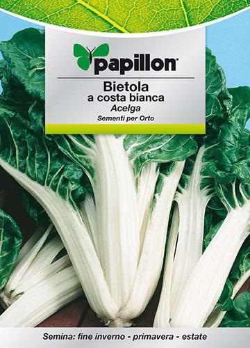 SEMI ORTO PAPILLON "BIETOLA COSTA BIANCA" - CF. BUSTA 1 GR.