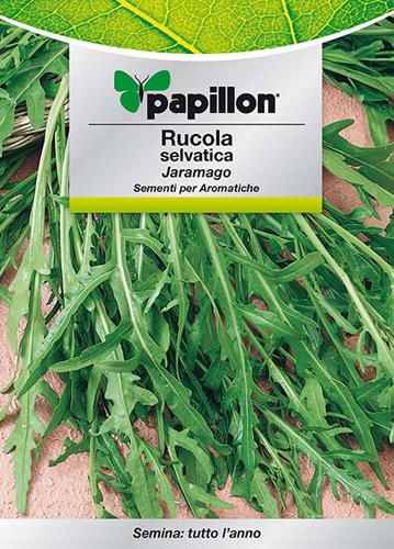 SEMI ERBA AROMATICA PAPILLON "RUCOLA SELVATICA" - CF. BUSTA 2,5 GR.