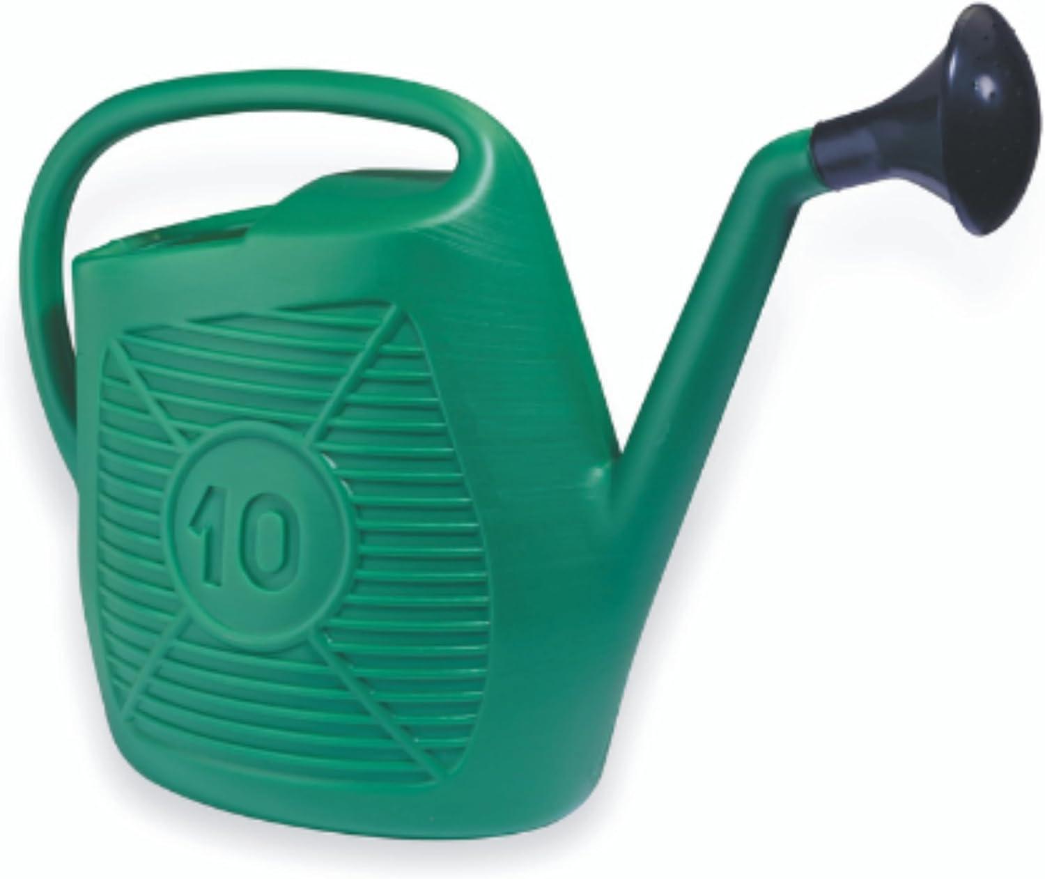 ANNAFFIATOIO A CIPOLLA Lt. 10