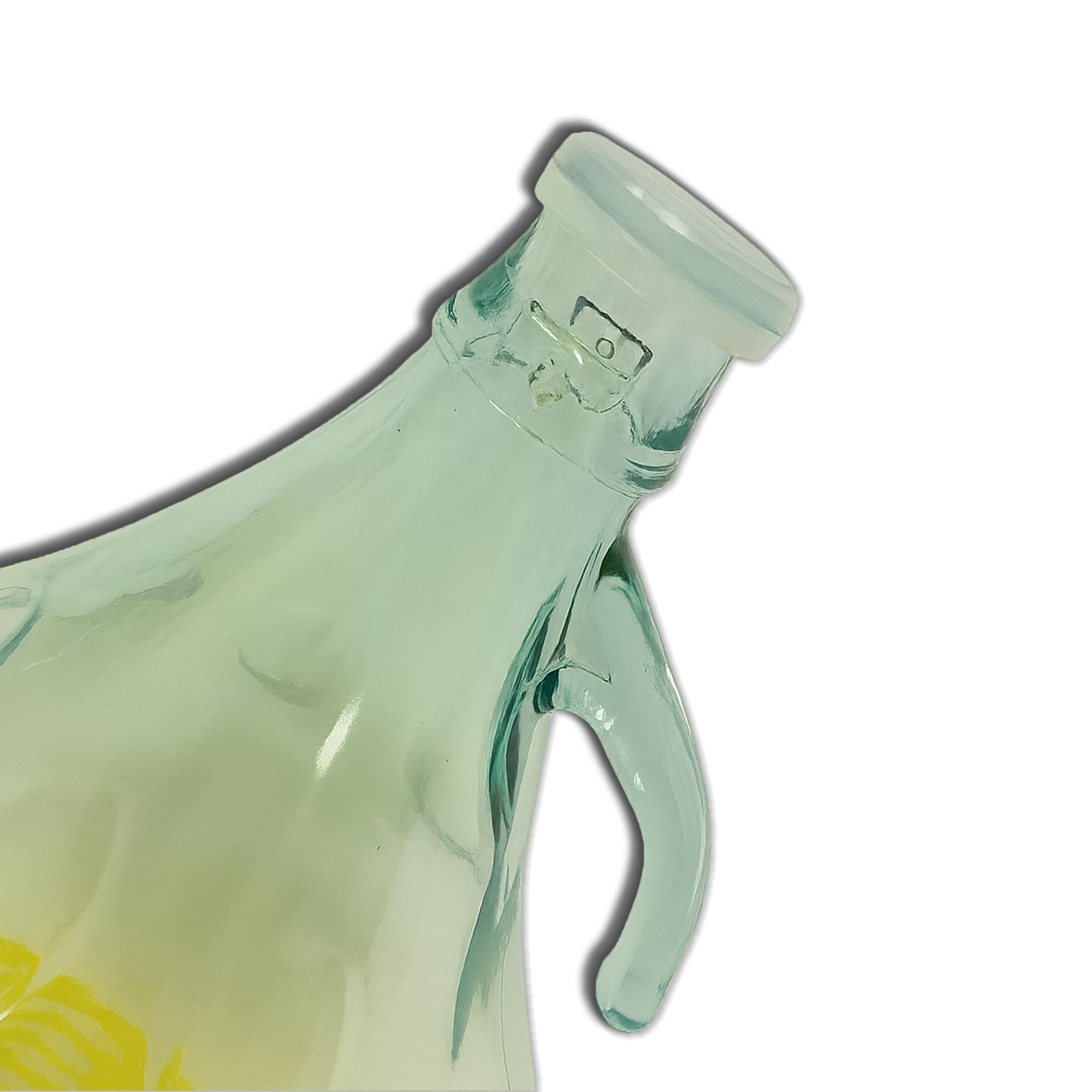 FERROELETTRA Damigiana Vetro 5 Litri - Bottiglione con Chiusura con Tappo a Pressione Ermetica - Dama per Olio - Contenitore Olio 5 Litri - Damigiane e Bottiglioni per Prodotti Alimentari (1)