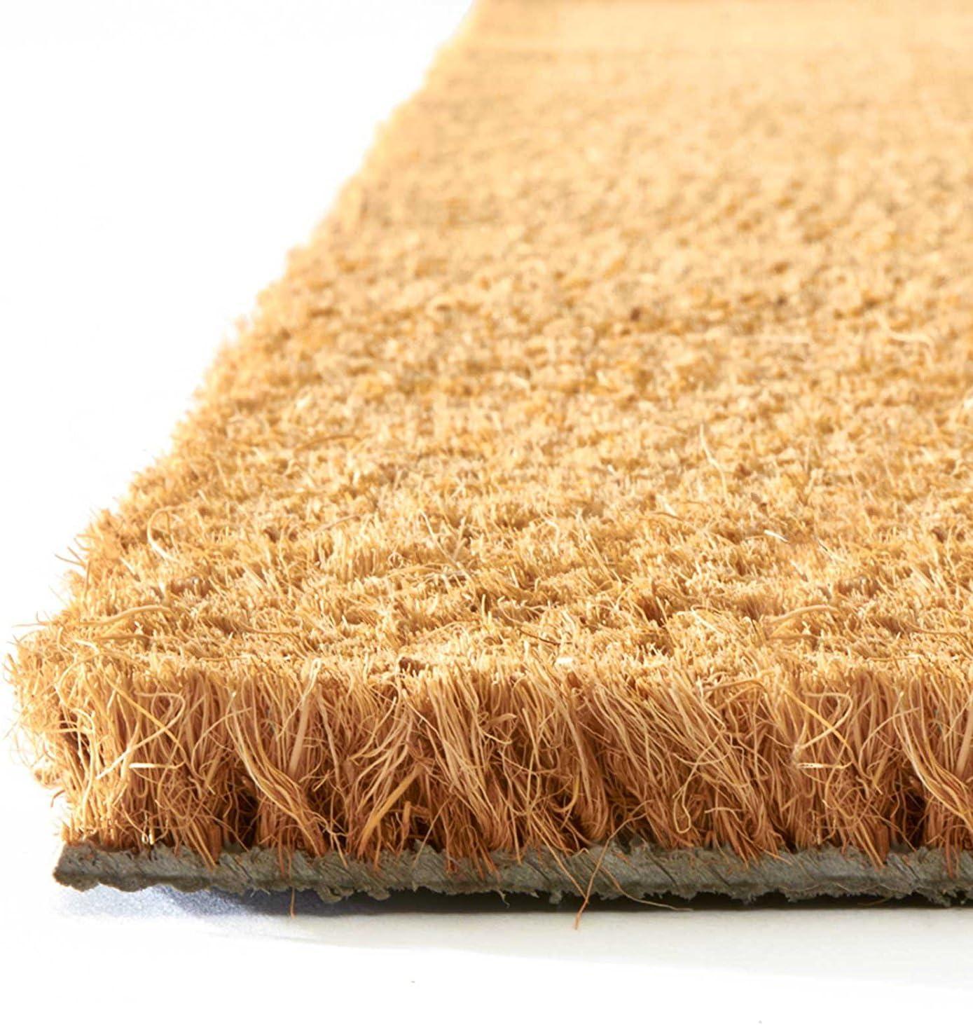 24 COCCO ZERBINO JUMBO H. 100