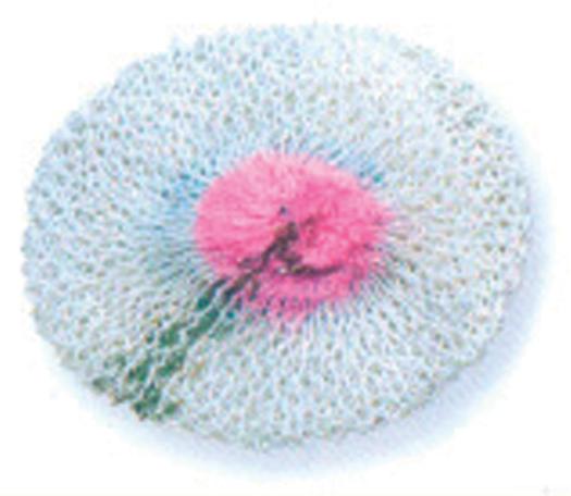 RETICELLA LAMPADA GAS 100W PAPILLON - CF. BLISTER 3PZ