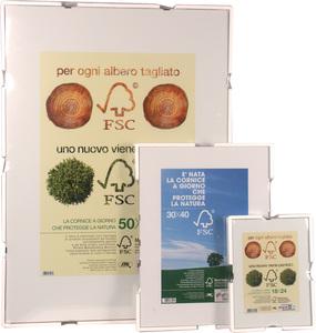 CORNICE X QUADRI "A GIORNO" CM.30X40